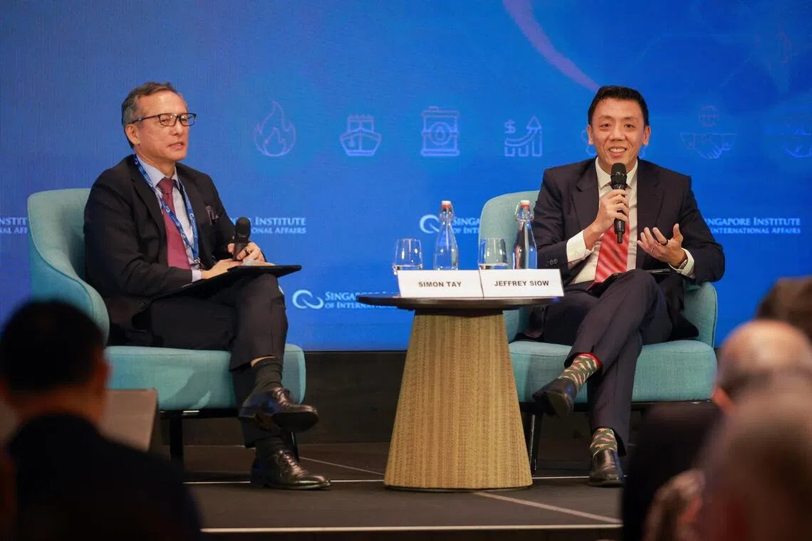 A smaller Singaporean population base means there are more resources available to invest in each person, said Transport Minister Jeffrey Siow.