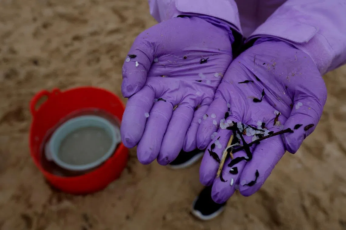 Millions of plastic pellets washed up on the coast of Spain’s north-western Galicia region.