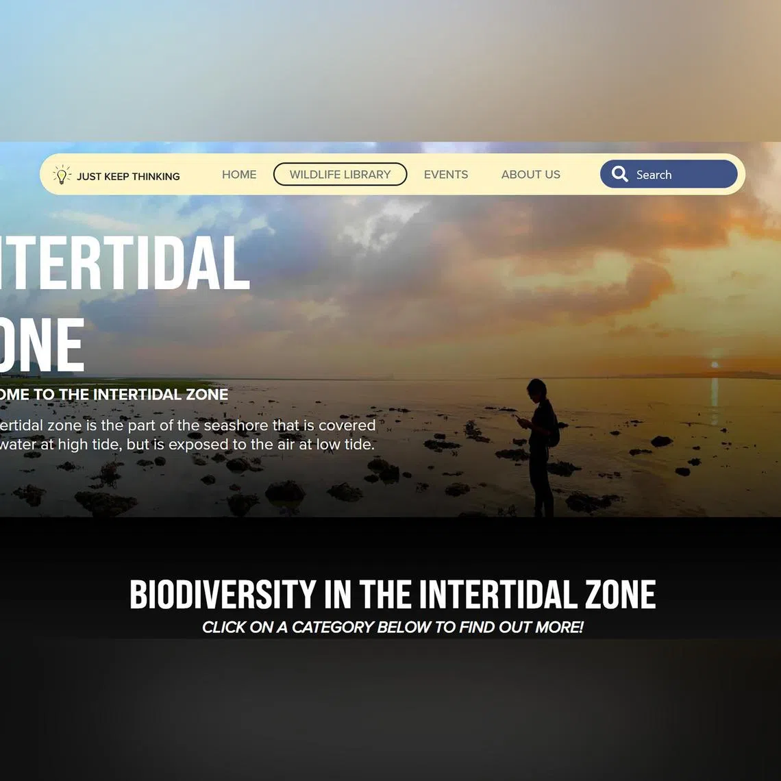 A screenshot of the wildlife library on Just Keep Thinking's website, where readers can learn about native wildlife.