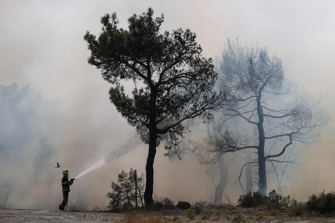 FILE PHOTO: A Czech firefighter tries to extinguish a wildfire burning near the village of Provatonas in the region of Evros, Greece, September 3, 2023. REUTERS/Alexandros Avramidis/File Photo