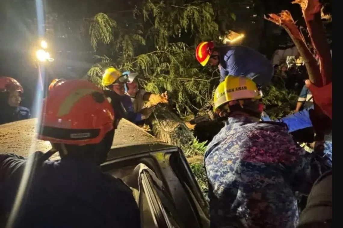 1 dead, 7 hospitalised after tree falls near Singapore embassy in Kuala Lumpur