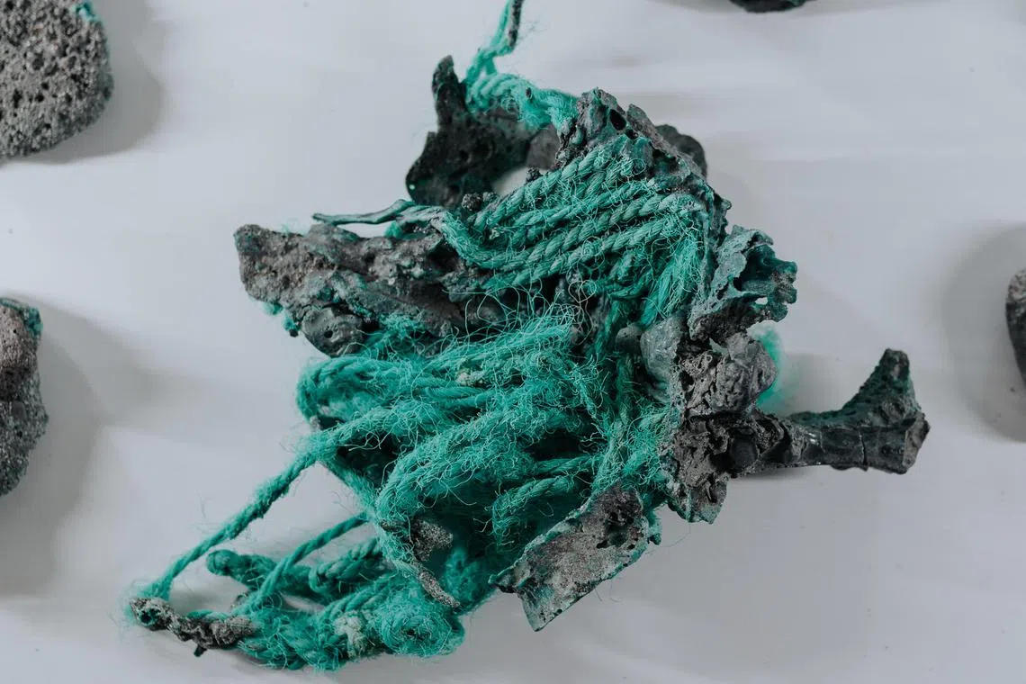 A "plastic rock" at a laboratory of the University of Parana in Curitiba, Parana state, Brazil on March 22, 2023. There are few places on Earth as isolated as Trindade island, a volcanic outcrop a three- to four-day boat trip off the coast of Brazil. So geologist Fernanda Avelar Santos was startled to find an unsettling sign of human impact on the otherwise untouched landscape: rocks formed from the glut of plastic pollution floating in the ocean. (Photo by Rodrigo FONSECA / AFP)