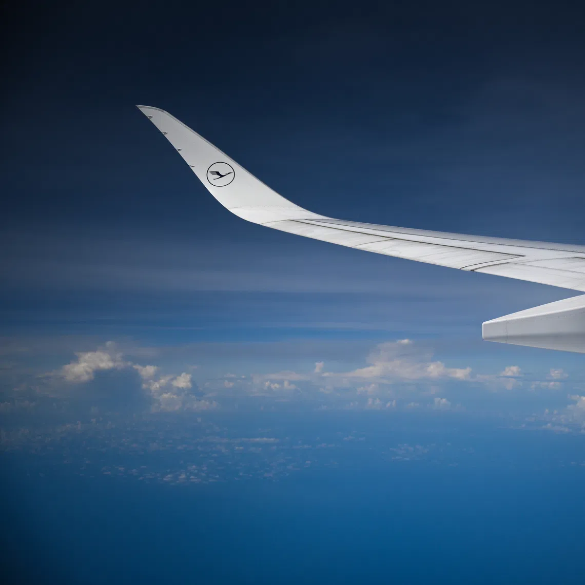 The pilot decided to divert the Lufthansa flight to Lyon, France, as a precaution after a passenger’s power bank caught fire.