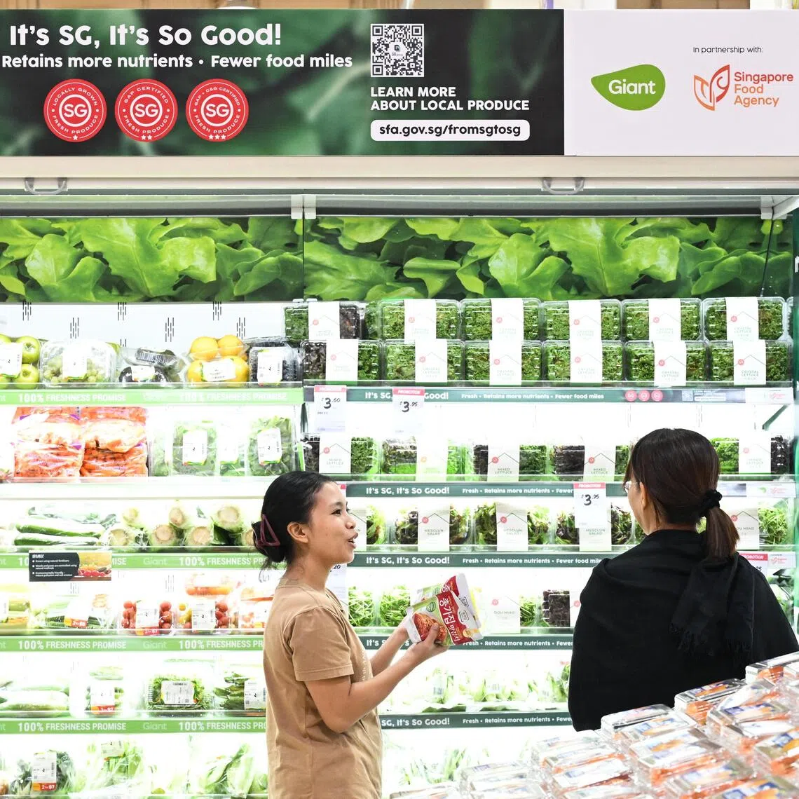 Customers at three Giant supermarkets can buy locally grown live seafood, including tilapia, sea bass, grouper and vannamei prawns.
