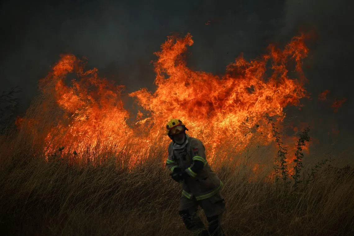 Climate change fuelled conditions for Chile, Argentina wildfires: Scientists
