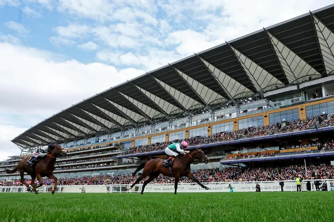 Horse Racing - Royal Ascot 2026 - Ascot Racecourse, Ascot, Britain - June 17, 2026
Blue Bolt ridden by Colin Keane in action before winning the 15:40 Duke Of Cambridge Stakes Action Images via Reuters/Andrew Boyers