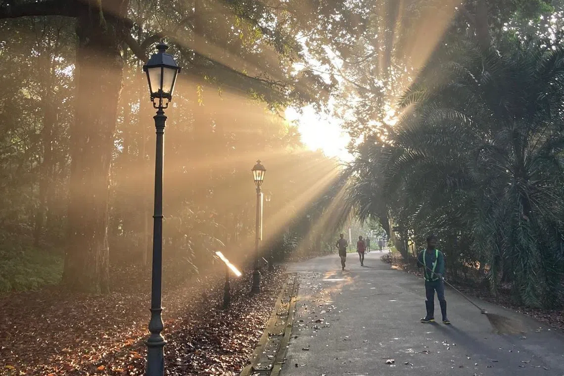 Cleaners sweeping at the Botanic Gardens.