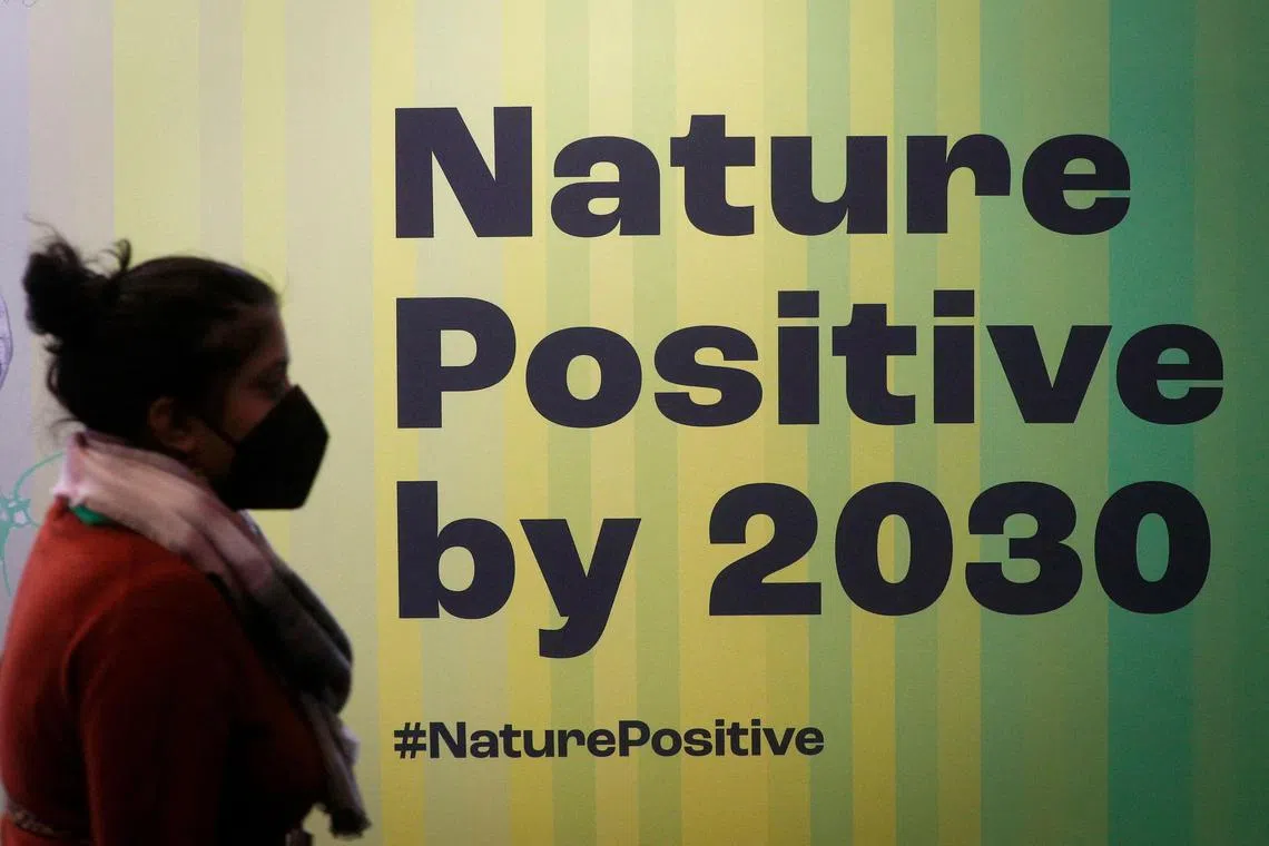 It is the details of the 30-by-30 goal that will determine whether it can save the world’s imperiled species and places.