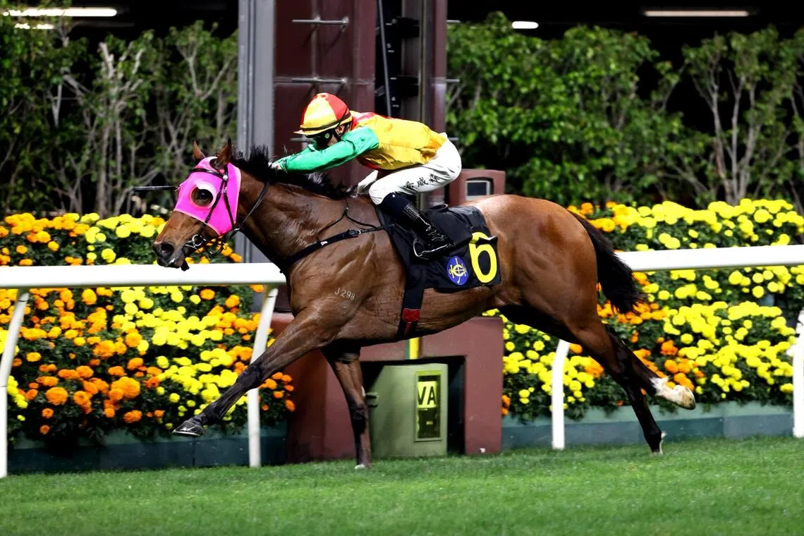 hk19 - Highland Rahy