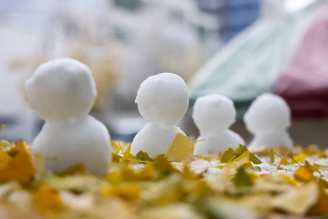 Snow sculptures on a street near Namdaemun Market in Seoul, on Nov 27, 2024. 