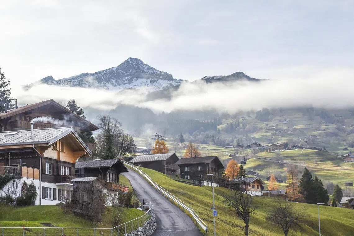 rcwinter19 - The Swiss Alps are spectacular in winter

Credit / Copyright: Ronan O'Connell