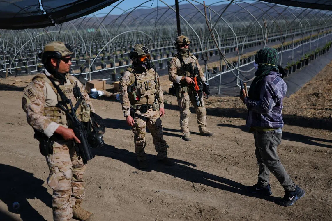 FILE PHOTO: U.S. federal agents stand guard while blocking a road leading to an agricultural facility where U.S. federal agents and immigration officers carried out an operation, in Camarillo, California, U.S., July 10, 2025. REUTERS/Daniel Cole/File Photo