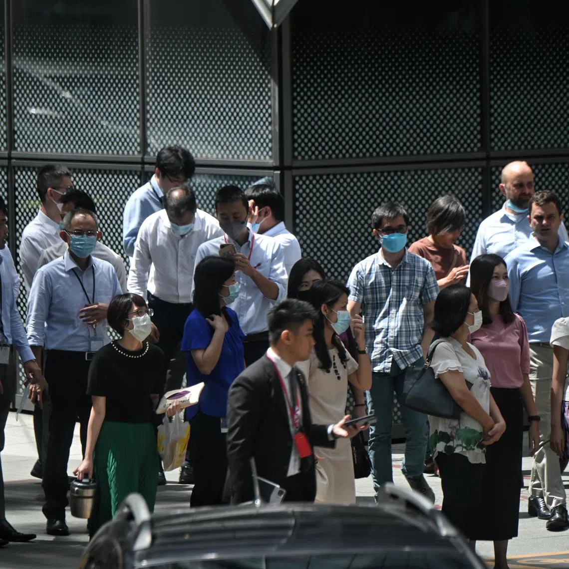 On average over the last decade, about 20 per cent of small firms have a foreign PMET share of 30 per cent or more.