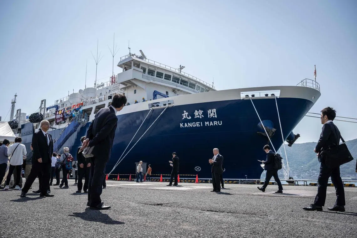 Japan's new whaling mothership, the Kangei Maru, is seen during the ship's launch ceremony at a port in Shimonoseki city, Yamaguchi prefecture on May 21.
