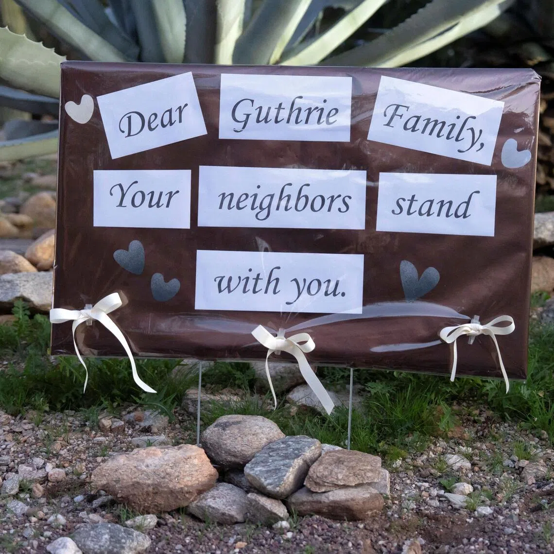 Ms Nancy Guthrie, 84, the mother of Today show anchor Savannah Guthrie, was last seen at her home near Tucson on Jan 31.