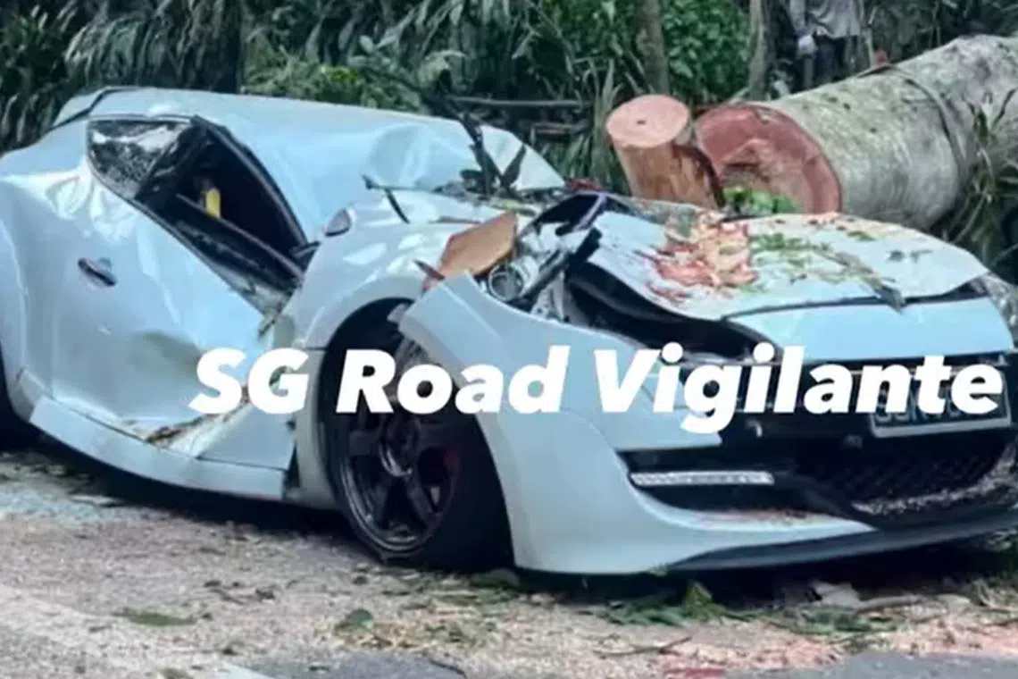 An NParks spokesman said the trunk of an Albizia tree at Chestnut Nature Park had snapped at about 5pm on April 13.