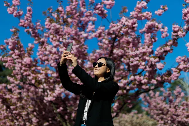 Melhores 3,3 ofertas em Cingapura: melhores ofertas de viagens