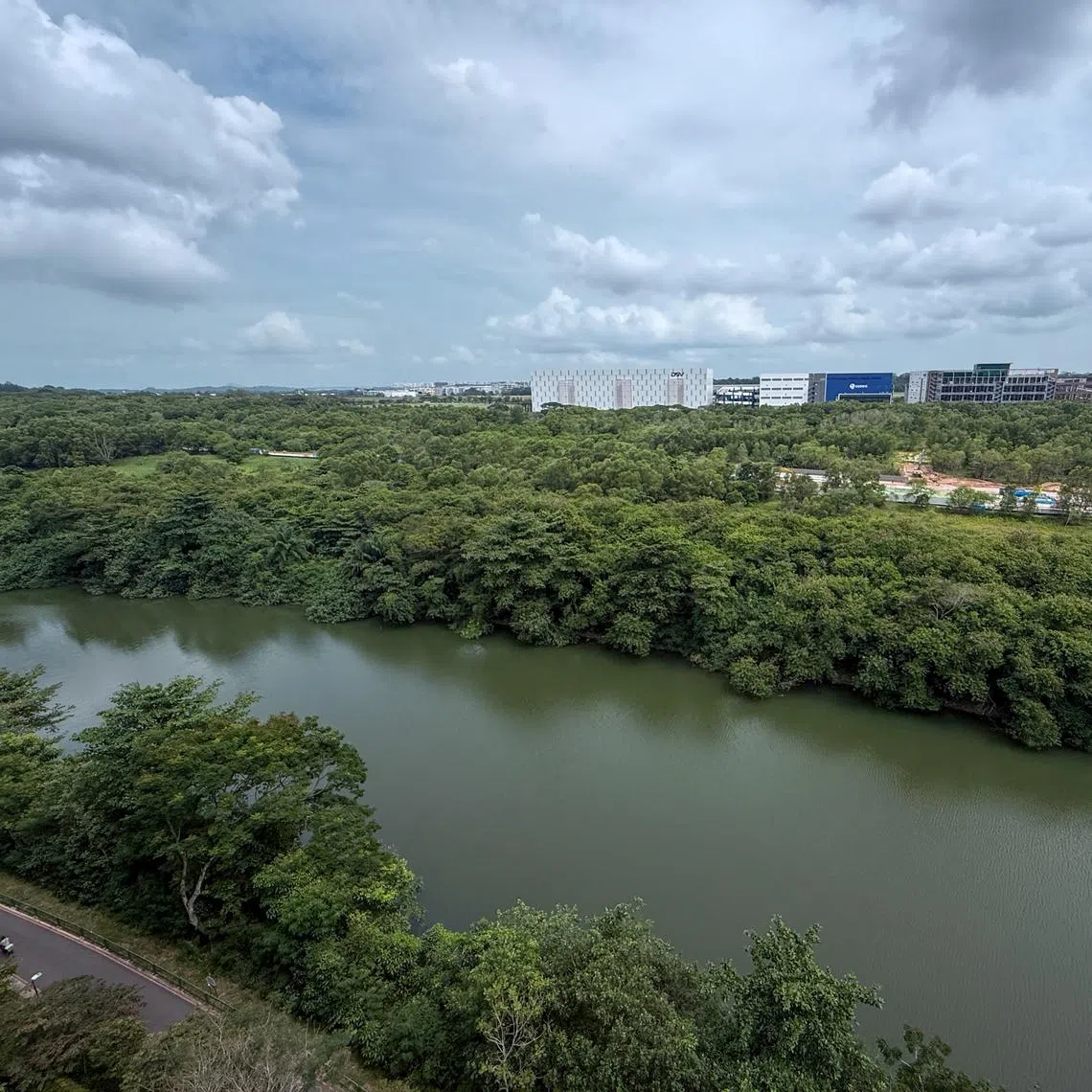 A coalition of residents and nature advocates had previously called for an environmental study for works on  Lorong Halus bus depot.