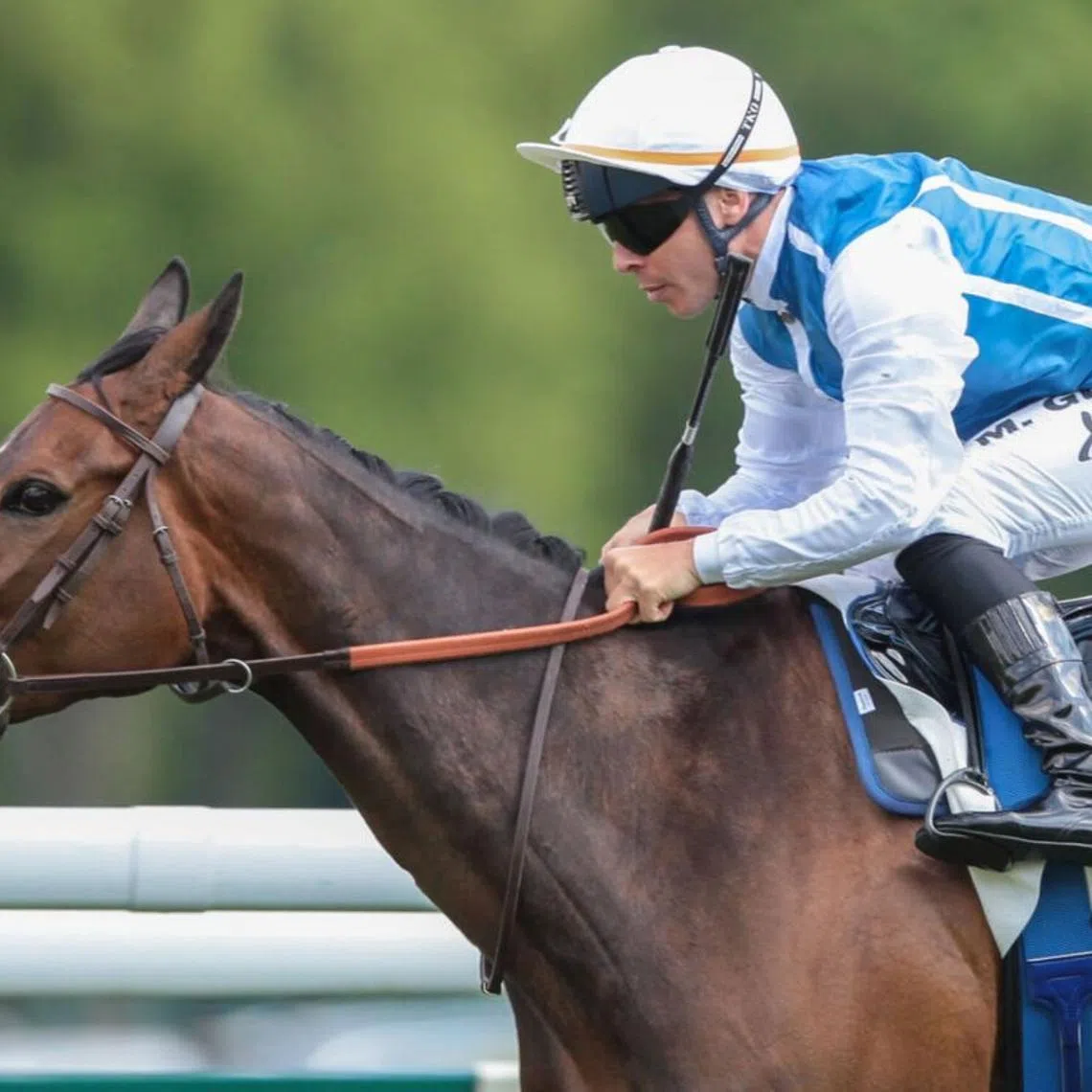 Aventure is one of the collateral damages to the current heat wave sweeping across Europe. Connections have abandoned plans to race in the Group 1 Pretty Polly Stakes (2,000m) at The Curragh in Ireland due to concerns over the hot France-Ireland journey.