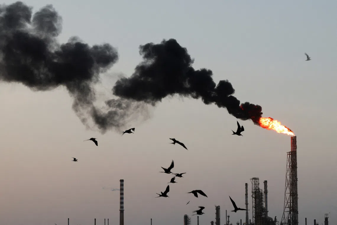 Birds fly past a burning industrial flare stack emitting black smoke