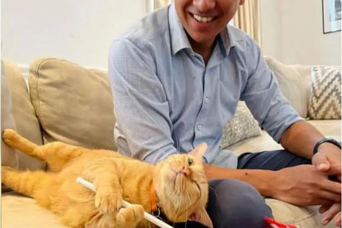 fdsaddiq11
Muda president and incumbent Muar MP Syed Saddiq Syed Abdul Rahman became the first candidate in his party to declare his assets, which also includes the value of his two pet cats, Toby and Meow Meow.
