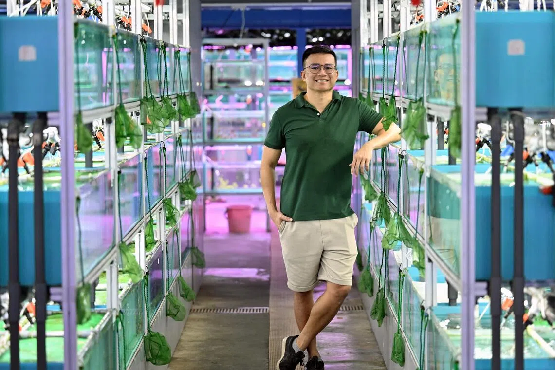 Life is going swimmingly for Desmond Lim, who achieved his childhood dream of working with aquatic animals.