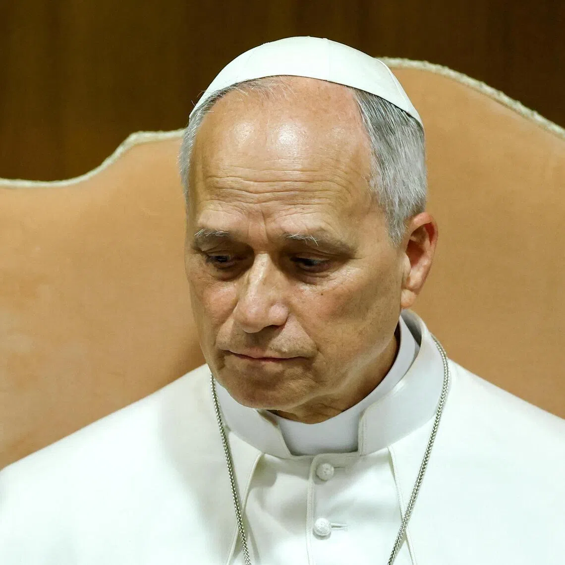 Pope Leo XIV says “disarming AI” does not mean rejecting technology, but “preventing it from dominating humanity”.
