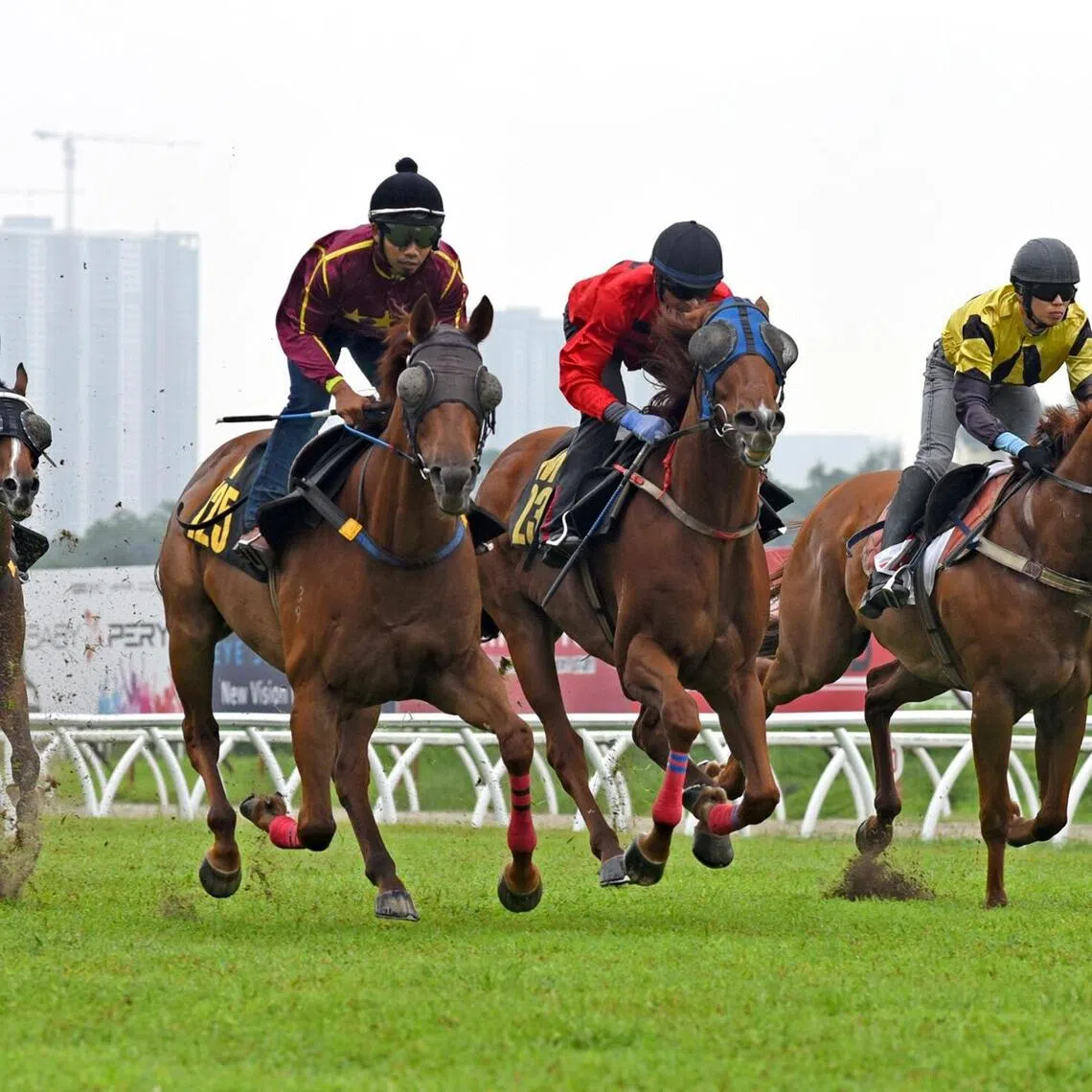 Legends Never Fade
PHOTO: SELANGOR TURF CLUB