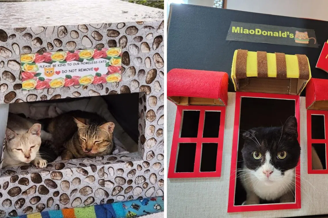 Each shelter has its own distinct character, sometimes decorated to reflect the spirit of seasonal festivities.