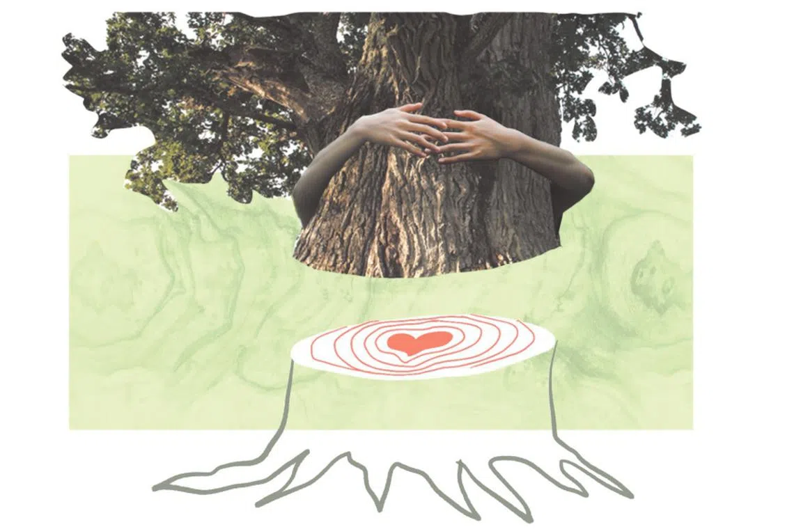 Nature conservation education begins when a person has some basic knowledge of nature, and is aware of the threats to conservation.