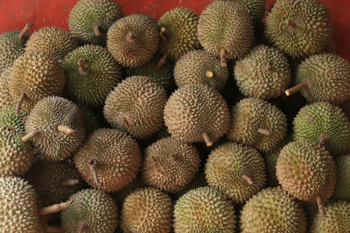 Firefighters searched nearby shops and found the cause of the smell came from durians sold at an Asian supermarket. 