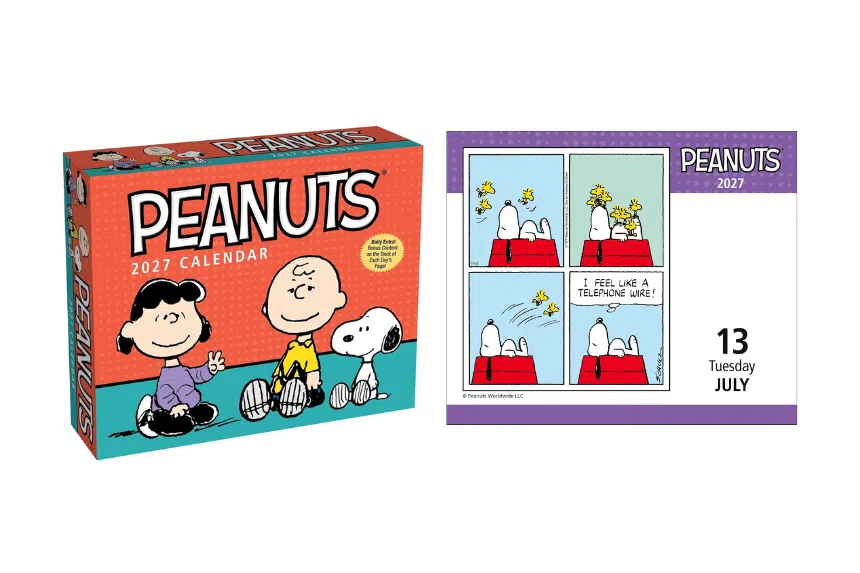 PEANUTS 2027 Day-to-Day Calendar