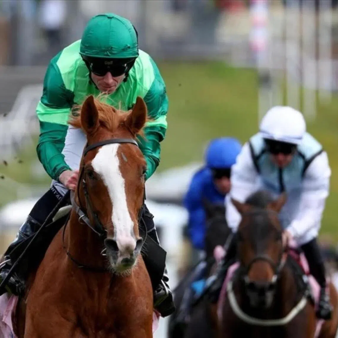 Benvenuto Cellini - Despite a freak barrier mishap that led to his voided run in the Epsom Derby three weeks ago, Benvenuto Cellini will still start as the favourite in the Group 1 Irish Derby (2,400m) at The Curragh on June 28.

Photo by Racing And Sports