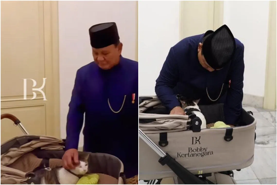 Many netizens were charmed by Bobby Kertanegara and got a glimpse of Indonesian President Prabowo Subianto’s personal life.