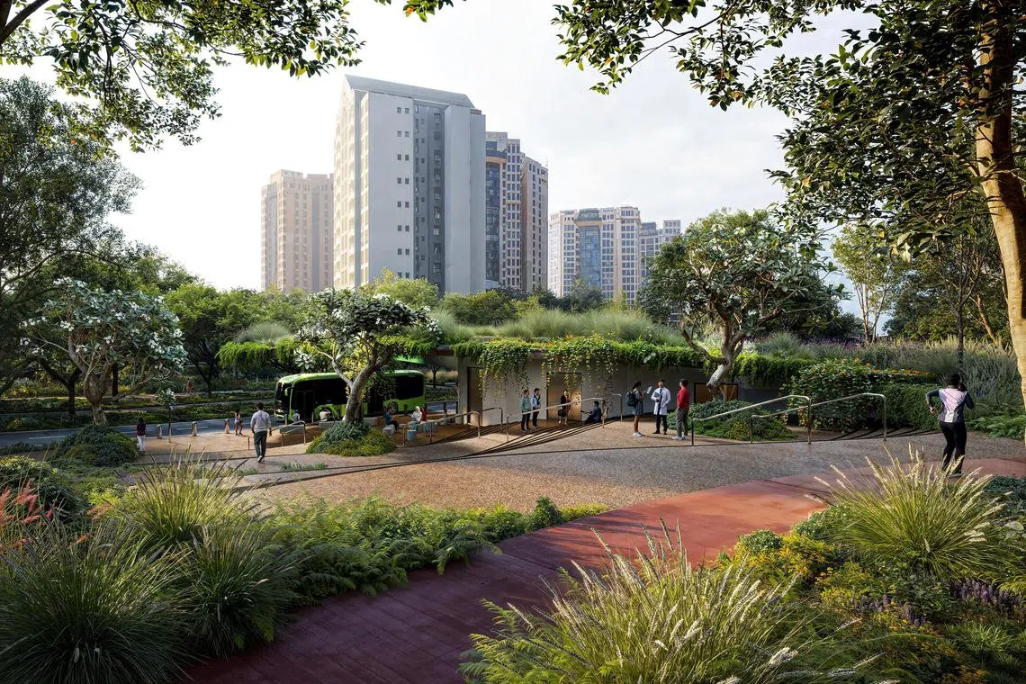 An artist's impression of lush planting along Marymount Road, with meandering paths to create a unique commuting experience.