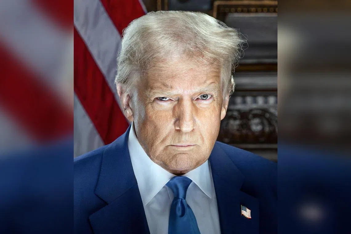 In President-elect Donald Trump's official inauguration portrait, he is shown sternly squinting.