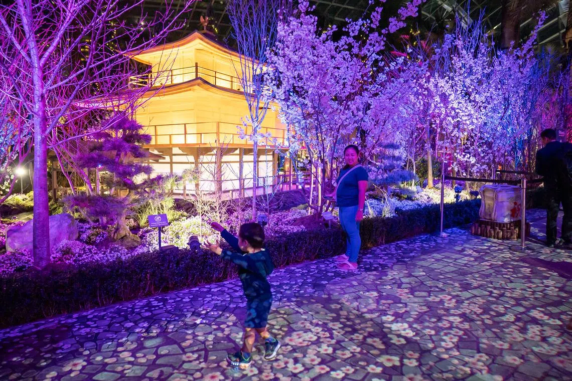 csdesign29 - Night view of Sakura_ Blossom into the Night (7). Image credit to Gardens by the Bay