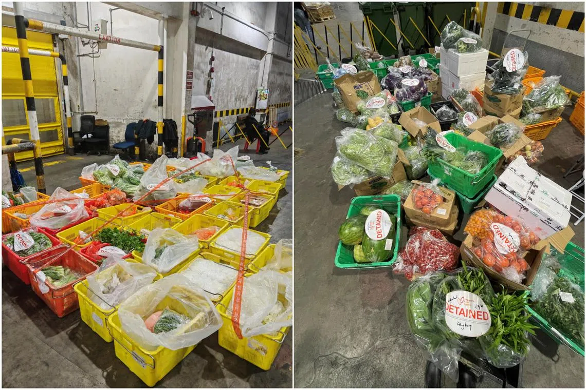 All illegal imports from Malaysia were seized by the Singapore Food Agency.