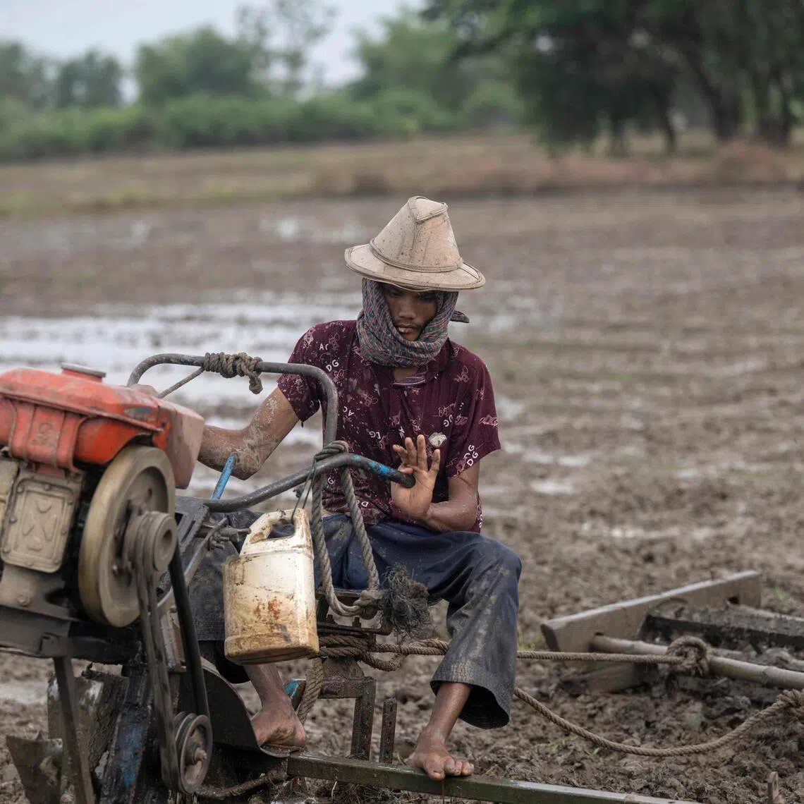 Farmers estimate that the price of a bag of fertiliser has increased by as much as fivefold.