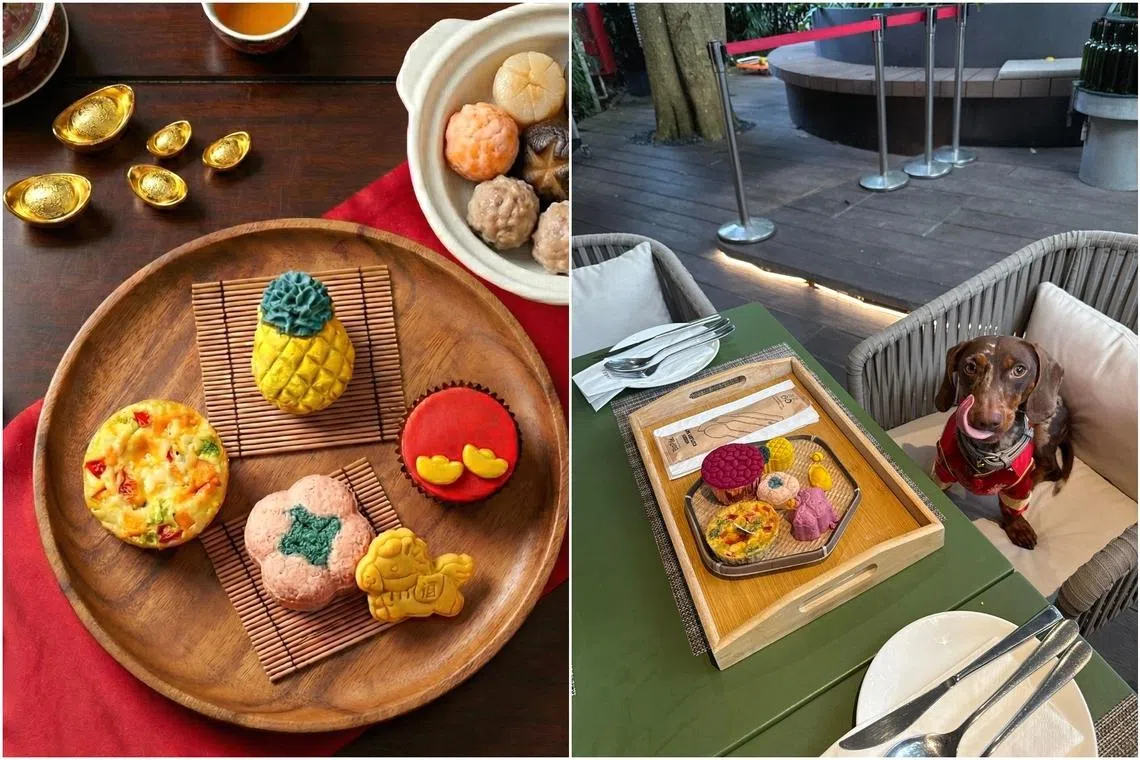 More in Singapore, including pet owners and couples, booking staycations during Chinese New Year