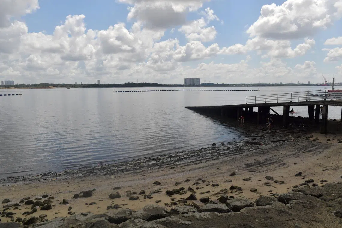 Beachgoers are advised against swimming or engaging in activities where the whole body or face comes into frequent contact with the water at Sembawang Park Beach.