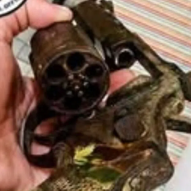 The police recovered a .357 Smith & Wesson Magnum revolver without ammunition, which was secured for documentation and disposition.