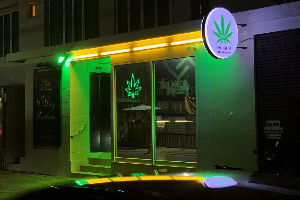 The declassification of marijuana as a narcotic has seen the opening of more than 6,000 dispensaries in Thailand.