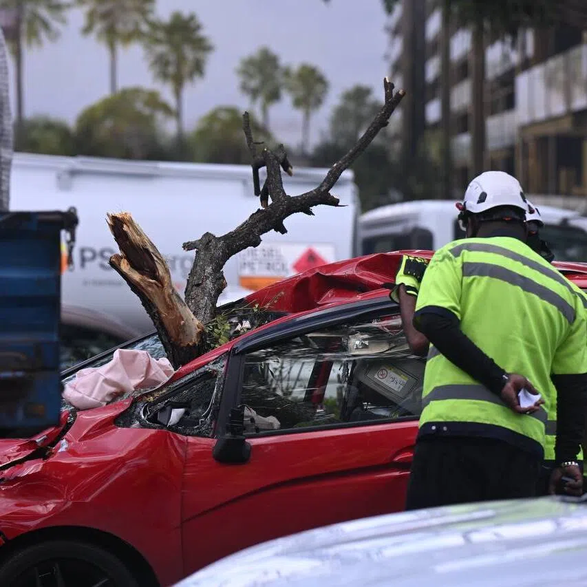 A tree branch is nestled in the front of the passenger cabin of a red MPV, jutting out of the shattered windscreen.