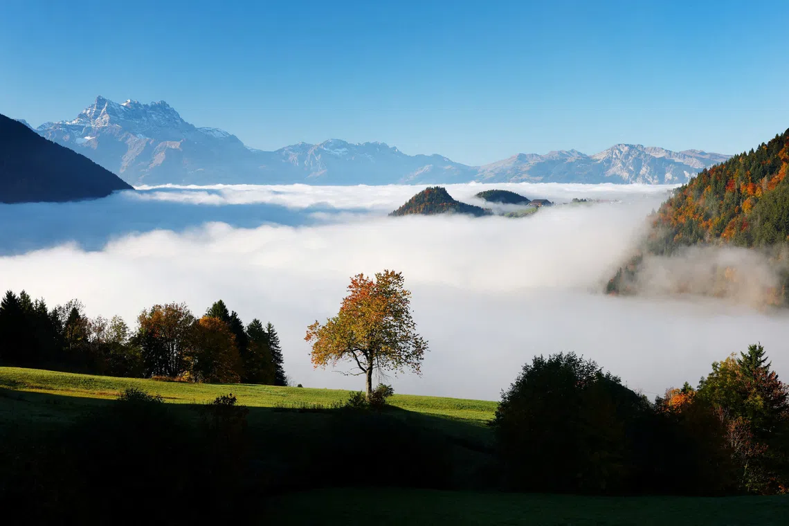 Fog covering parts of the Dents-du-Midi mountain range, on an autumn morning, in the village of Le Sepey, Switzerland, Oct 14, 2025.