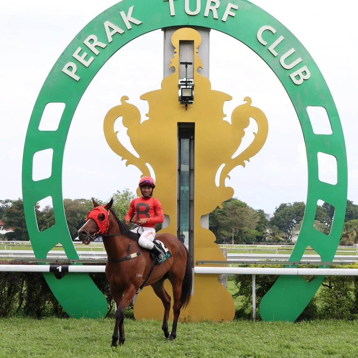 Banker’s First (Nuqman Rozi) returning to scale after he won the Perak Turf Club Community Shield (1,200m) in Ipoh on May 31.