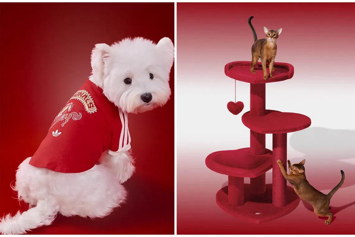 The Adidas Originals Pet Tee (left) and the Heartpurrouge Cat Climber.