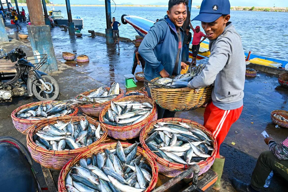High seas biodiversity treaty is a key piece of the global conservation jigsaw, and is urgently needed as threats grow.