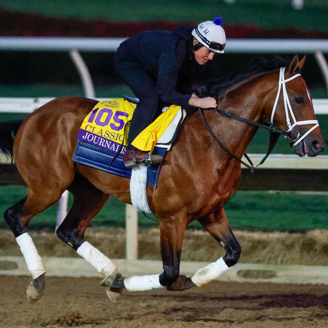Journalism getting put through his paces ahead of his participation in the Grade 1 Breeders' Cup Classic (2,000m) at Del Mar on Nov 1.
