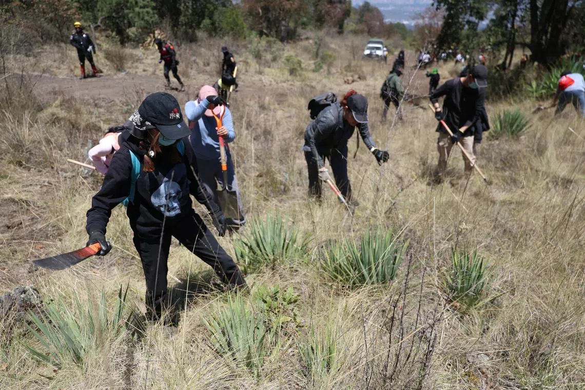 Members of the missing‑persons collective Hasta Encontrarles carry out searches in El Ajusco National Park, after Marcela Figueroa, head of Mexico’s National Public Security System said authorities had potentially identified more than 40,000 people previously listed as disappeared who may still be alive by cross‑referencing official databases, including tax records and marriage registries, in Mexico City, Mexico, March 27, 2026.REUTERS/Luis Cortes
